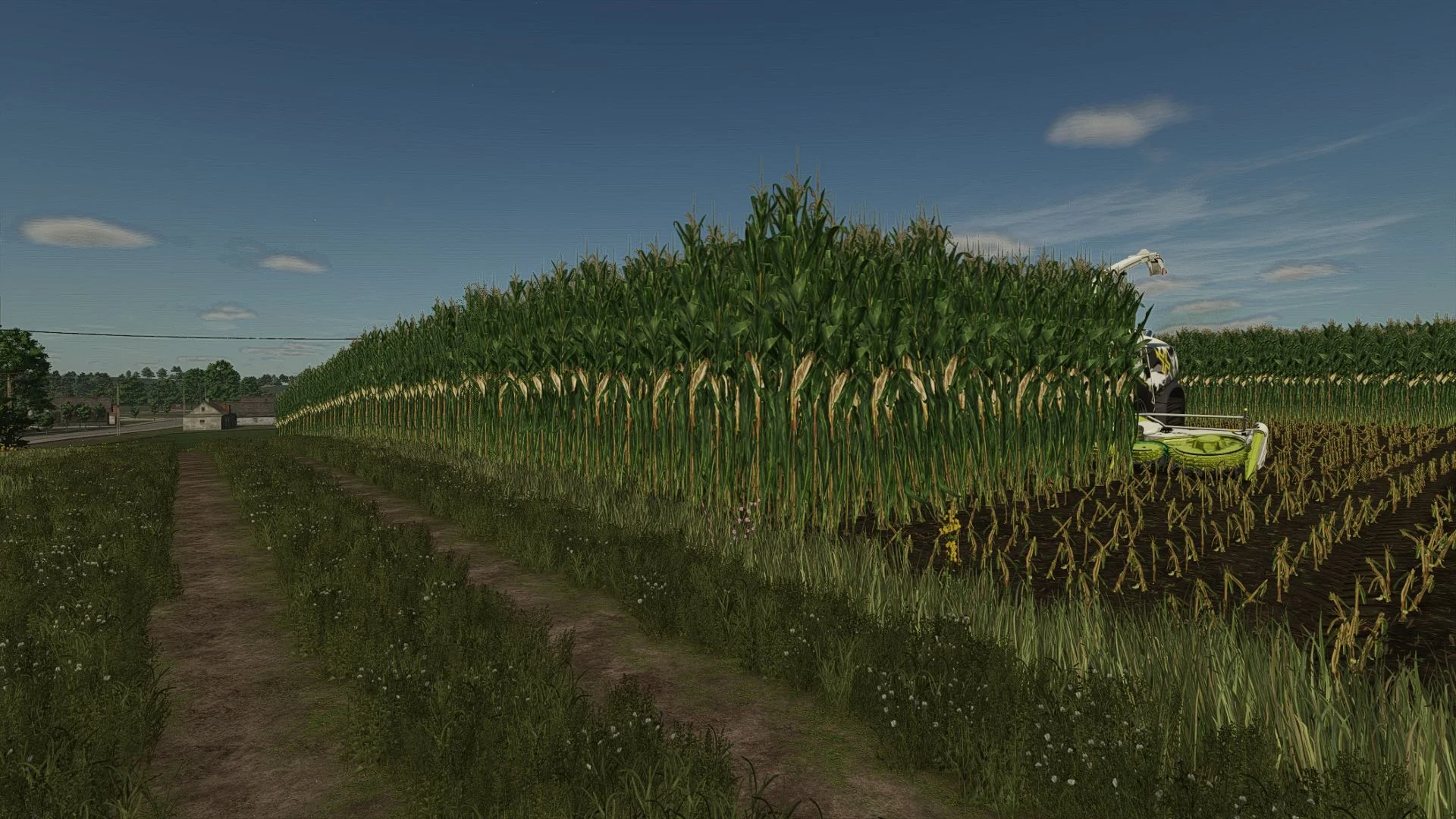 FS25 Maize texture Height Changed V1.0 Other Mod FS25 Mod Free Download