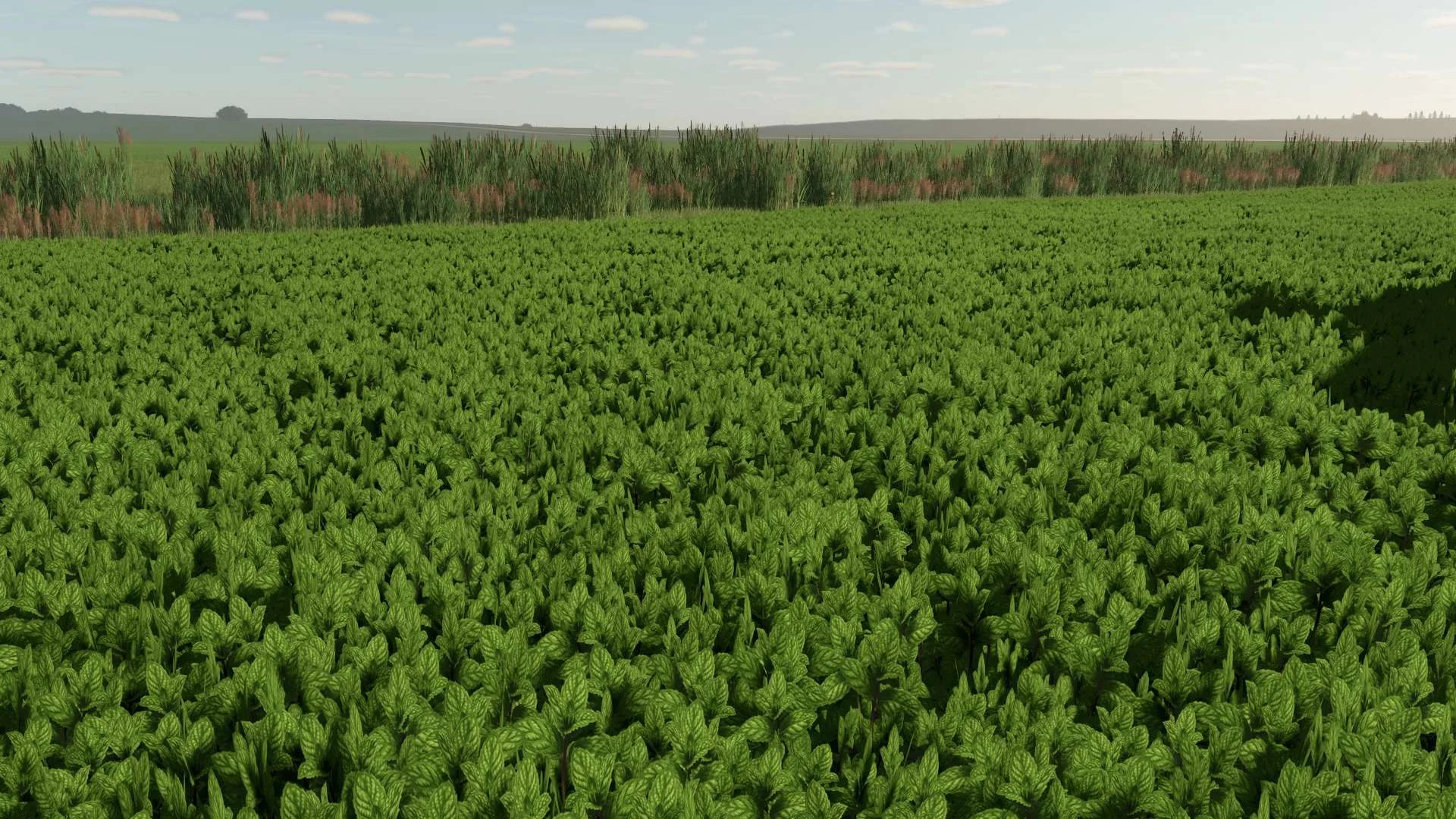 FS25 Mint Foliage v1.0 Other Mod