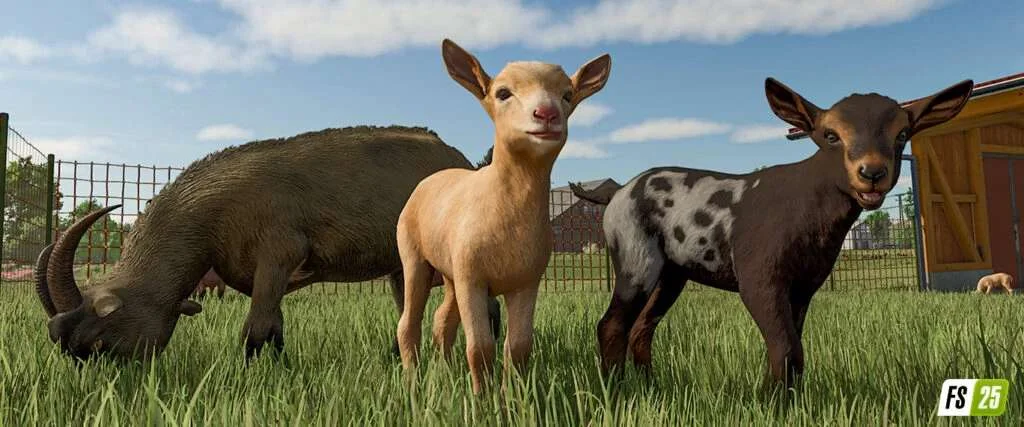 FS25 More Visual Animals v1.0 Other Mod FS25 Mod Free Download