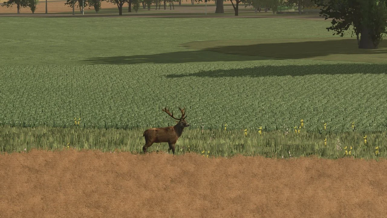 FS25 More Wild Animals V1.1 Other Mod
