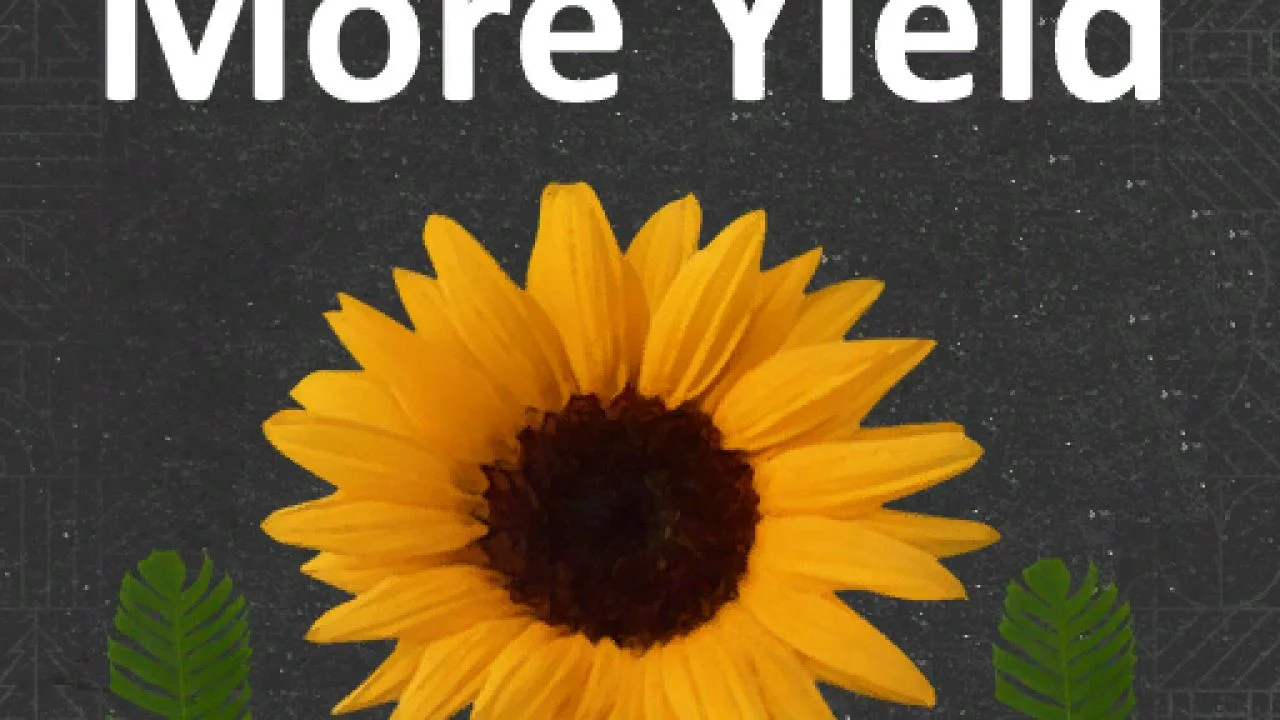 FS25 More Yield V1.0.2 Other Mod FS25 Mod Free Download