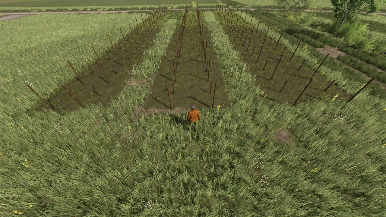 FS25 Narrow Vines And Olives (2 And 2.50) V1.0 Other Mod
