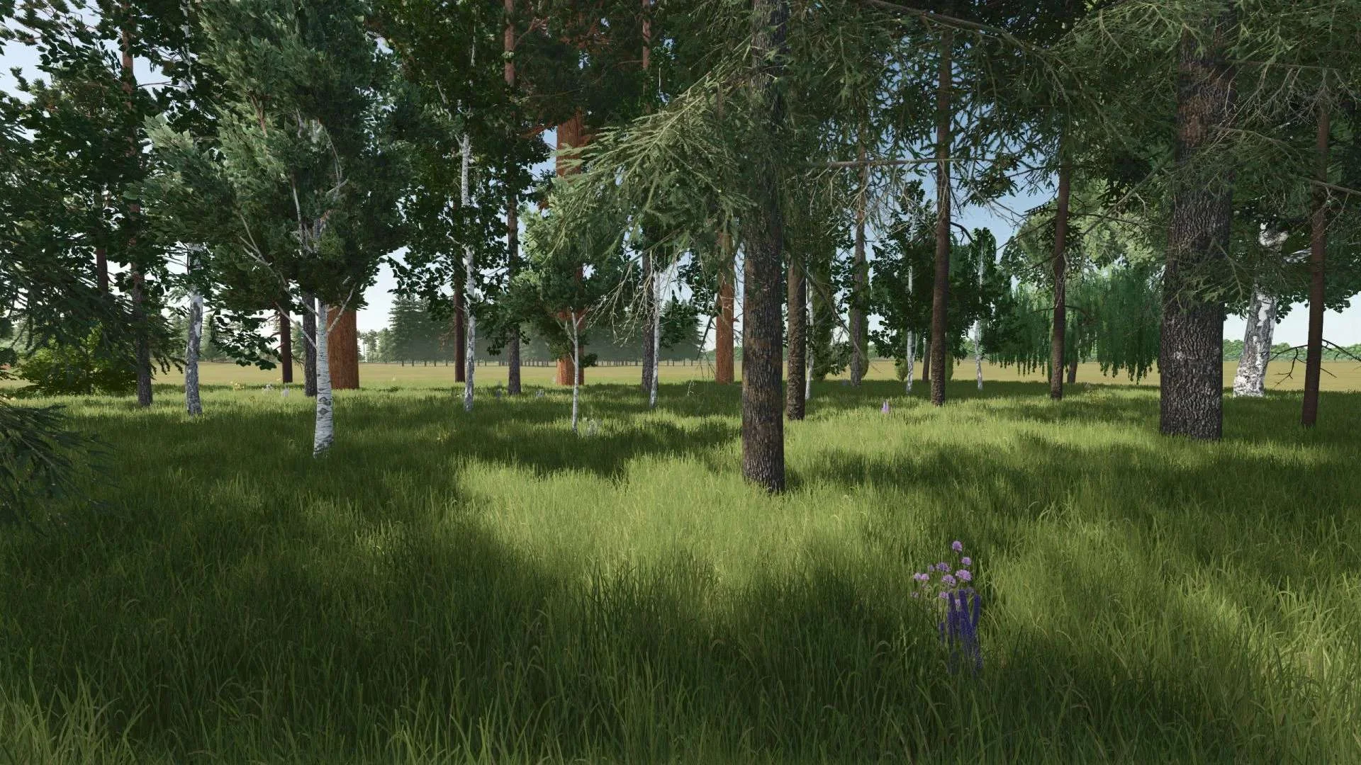 FS25 New trees types + new tree limit v1.1.3 Other Mod FS25 Mod Free Download