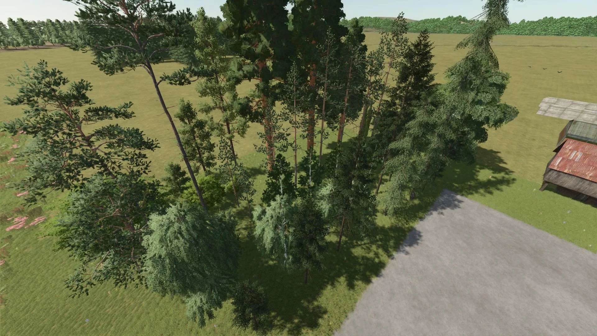 FS25 New trees types + new tree limit v1.2 Other Mod FS25 Mod Free Download