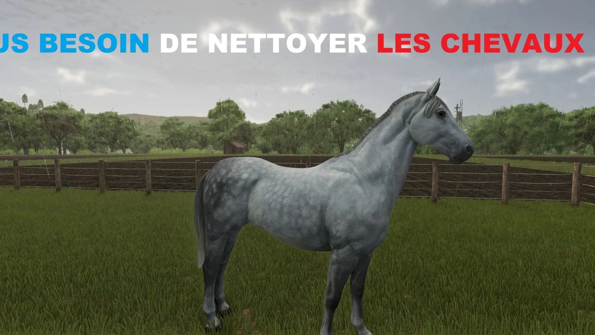 FS25 No need to clean horses anymore V1.0 Other Mod FS25 Mod Free Download