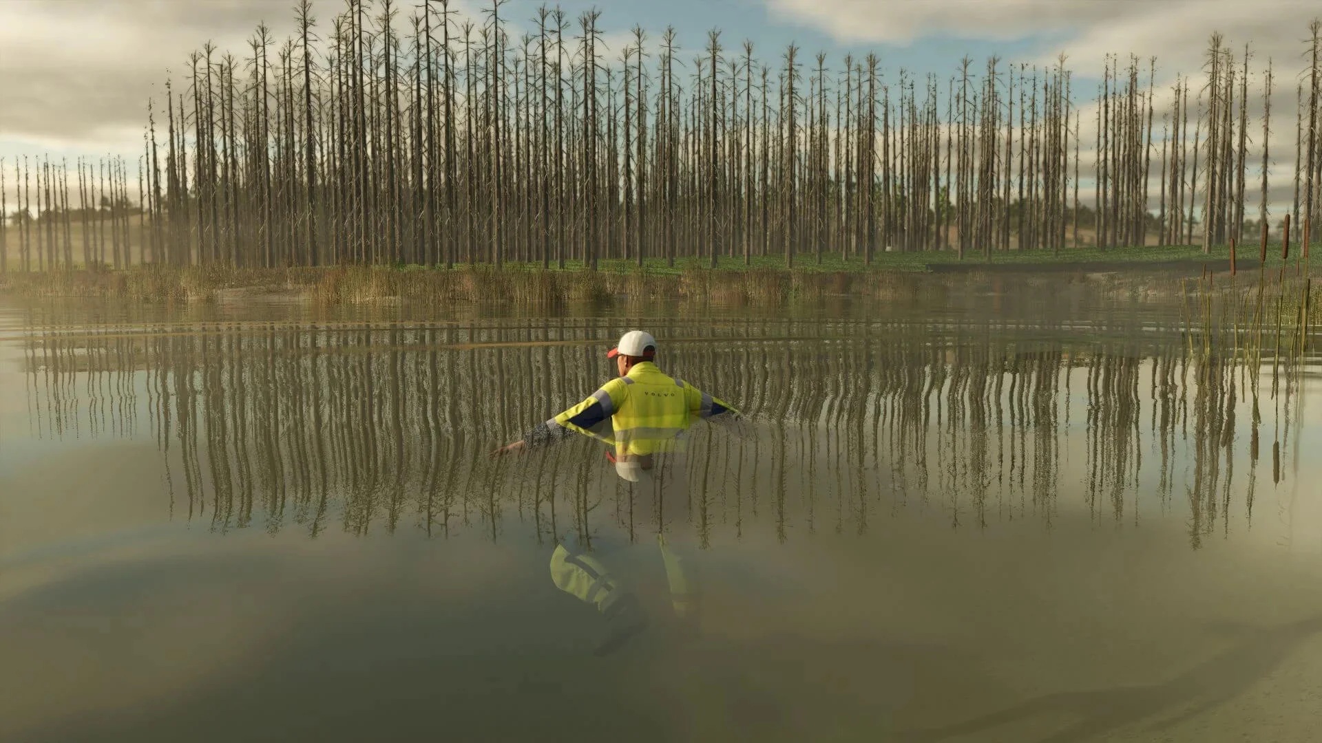 FS25 No Tree Limit v1.0 Other Mod FS25 Mod Free Download