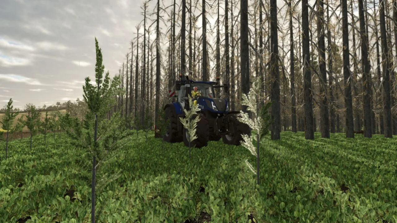 FS25 No tree limits V1.0 Other Mod FS25 Mod Free Download