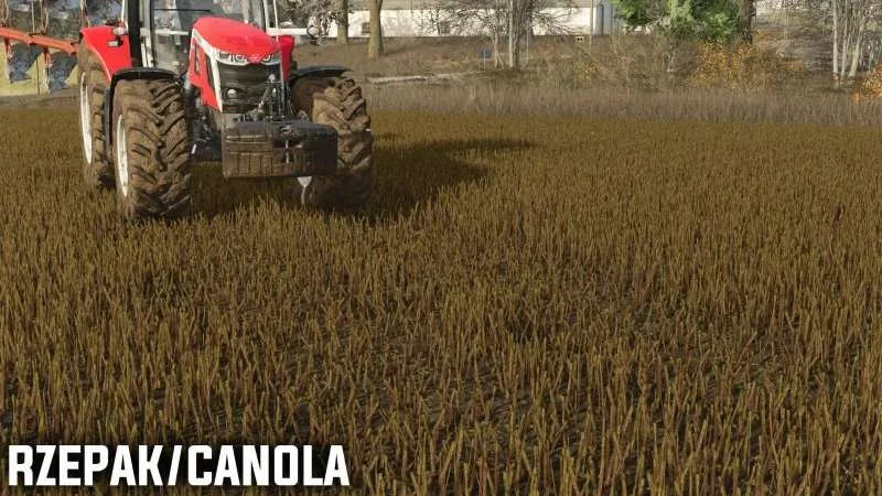 FS25 Pressed stubble v1.0 Other Mod FS25 Mod Free Download
