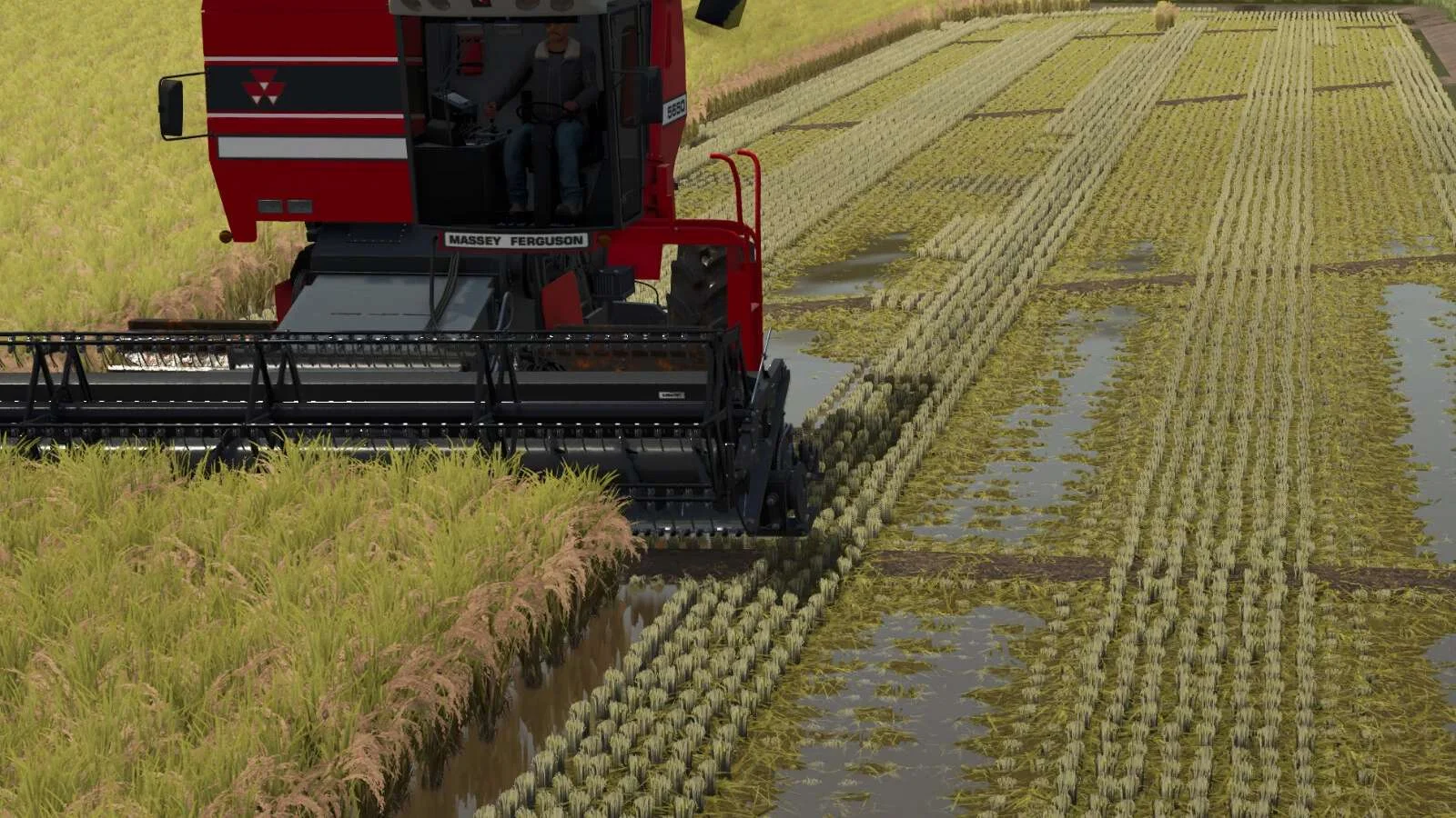 FS25 Rice Fields SA v1.0 Other Mod FS25 Mod Free Download