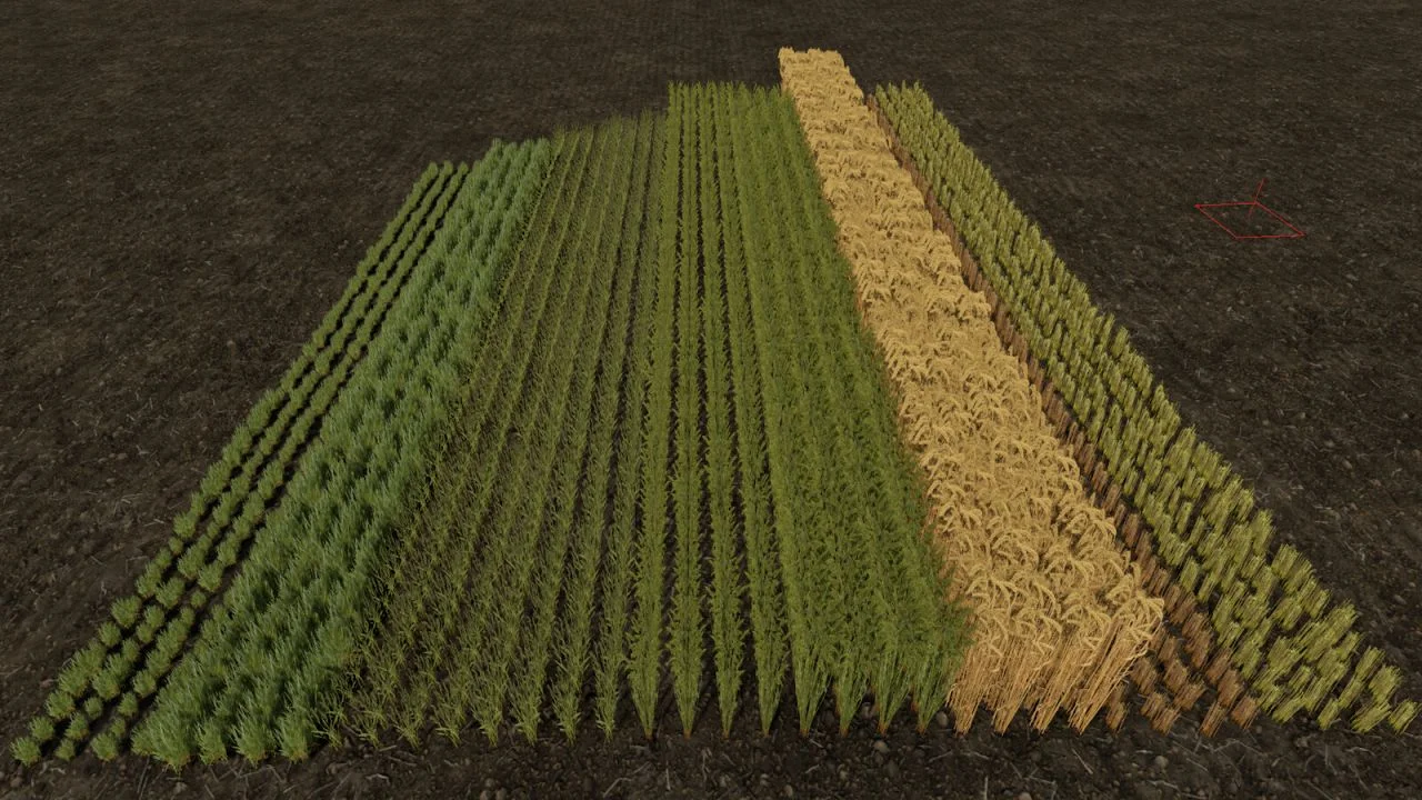 FS25 Row Seeding Barley, Oat, Wheat, Canola (Prefab) V1.1 Other Mod