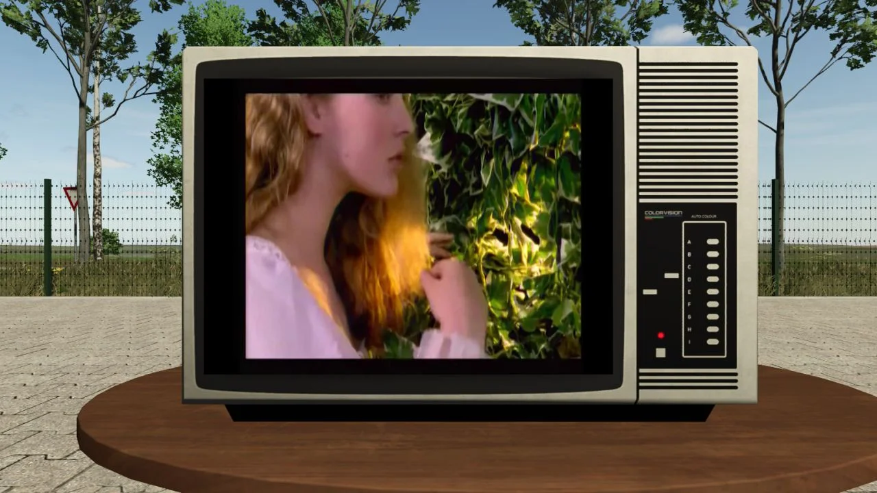 FS25 Television V1.0 Other Mod