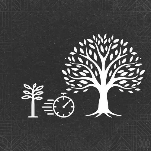 FS25 Trees Growing Faster v1.0 Other Mod FS25 Mod Free Download