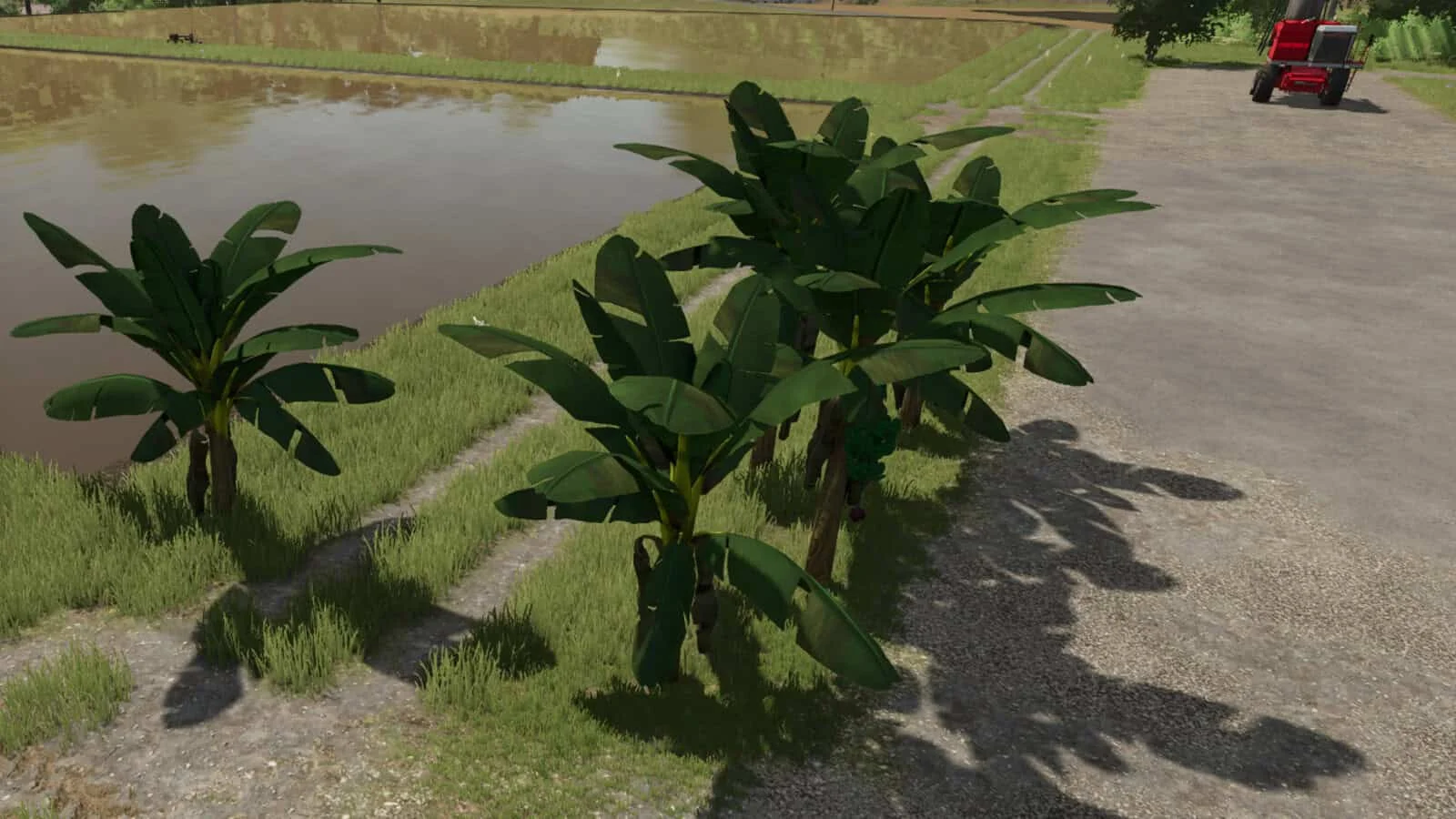 FS25 Banana Tree v1.0 Placeable Objects Mod FS25 Mod Free Download