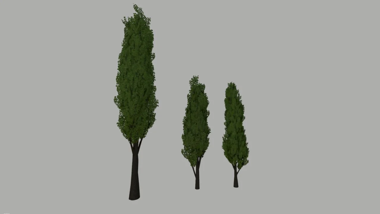 FS25 Poplar Trees Pack Prefab V1.0 FS25 Mod Free Download