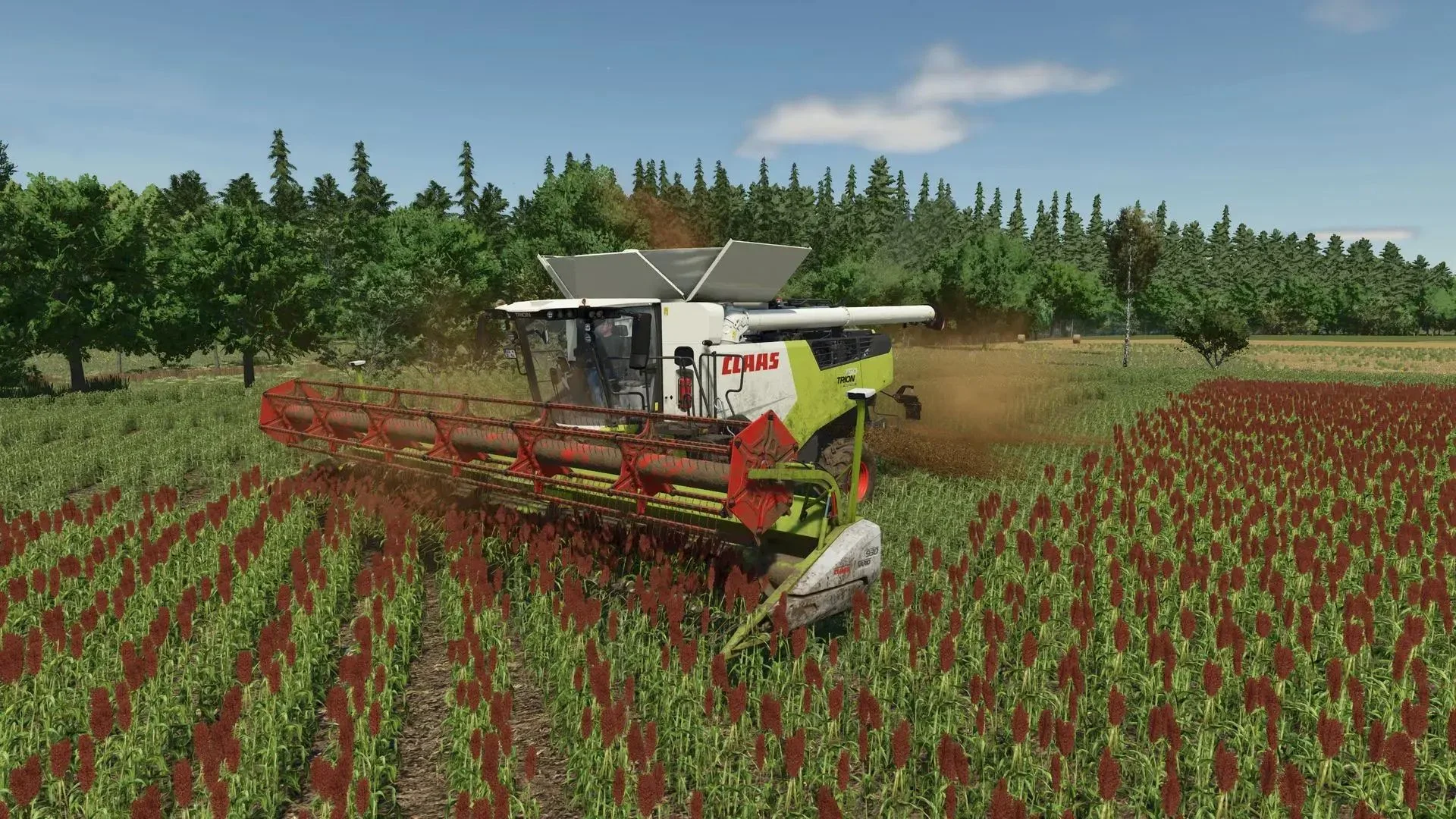 FS25 Common sorghum texture V1.0 Textures Mod FS25 Mod Free Download
