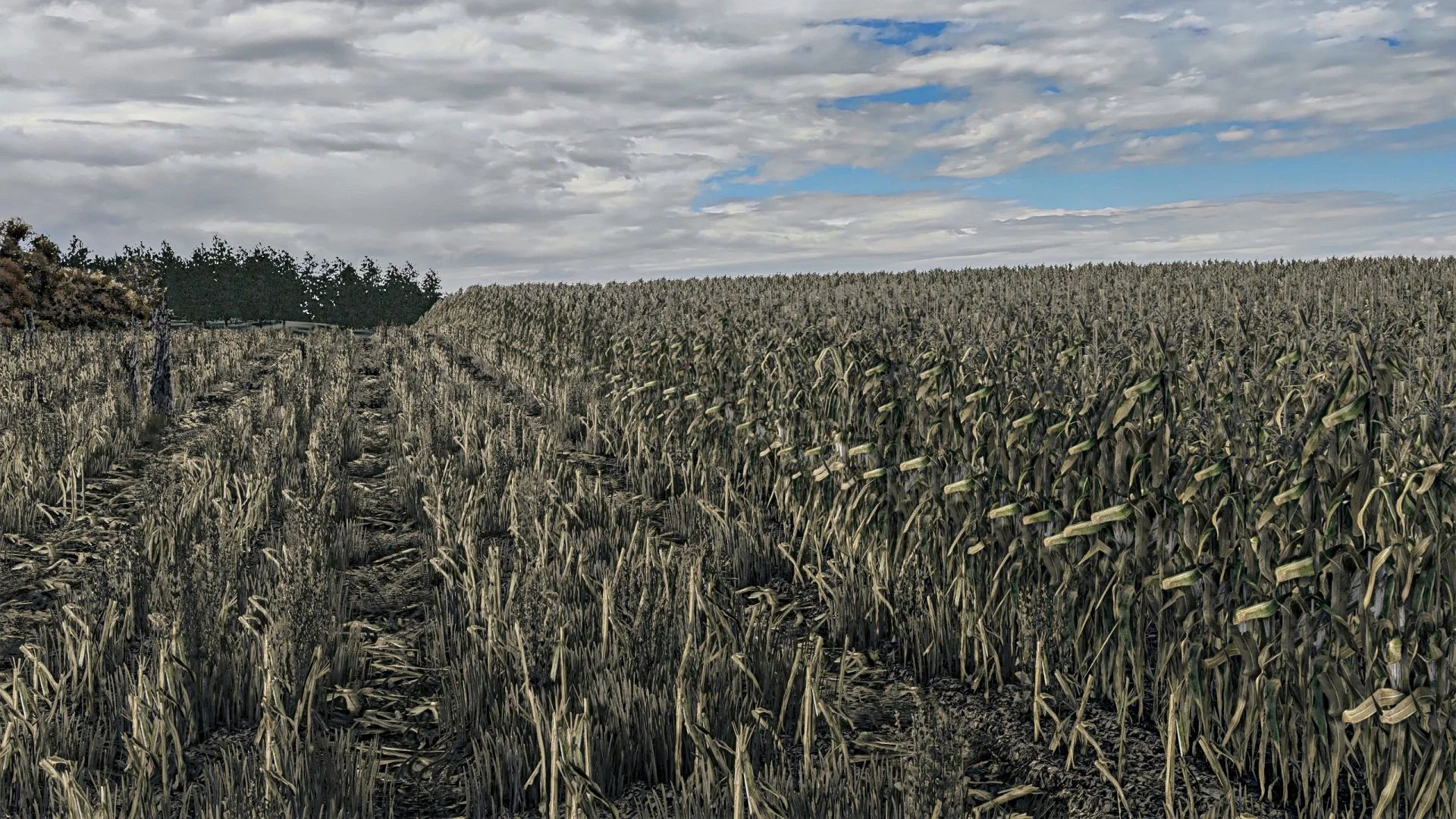 FS25 Corn Texture New Gen 2 V1.0 Textures Mod FS25 Mod Free Download