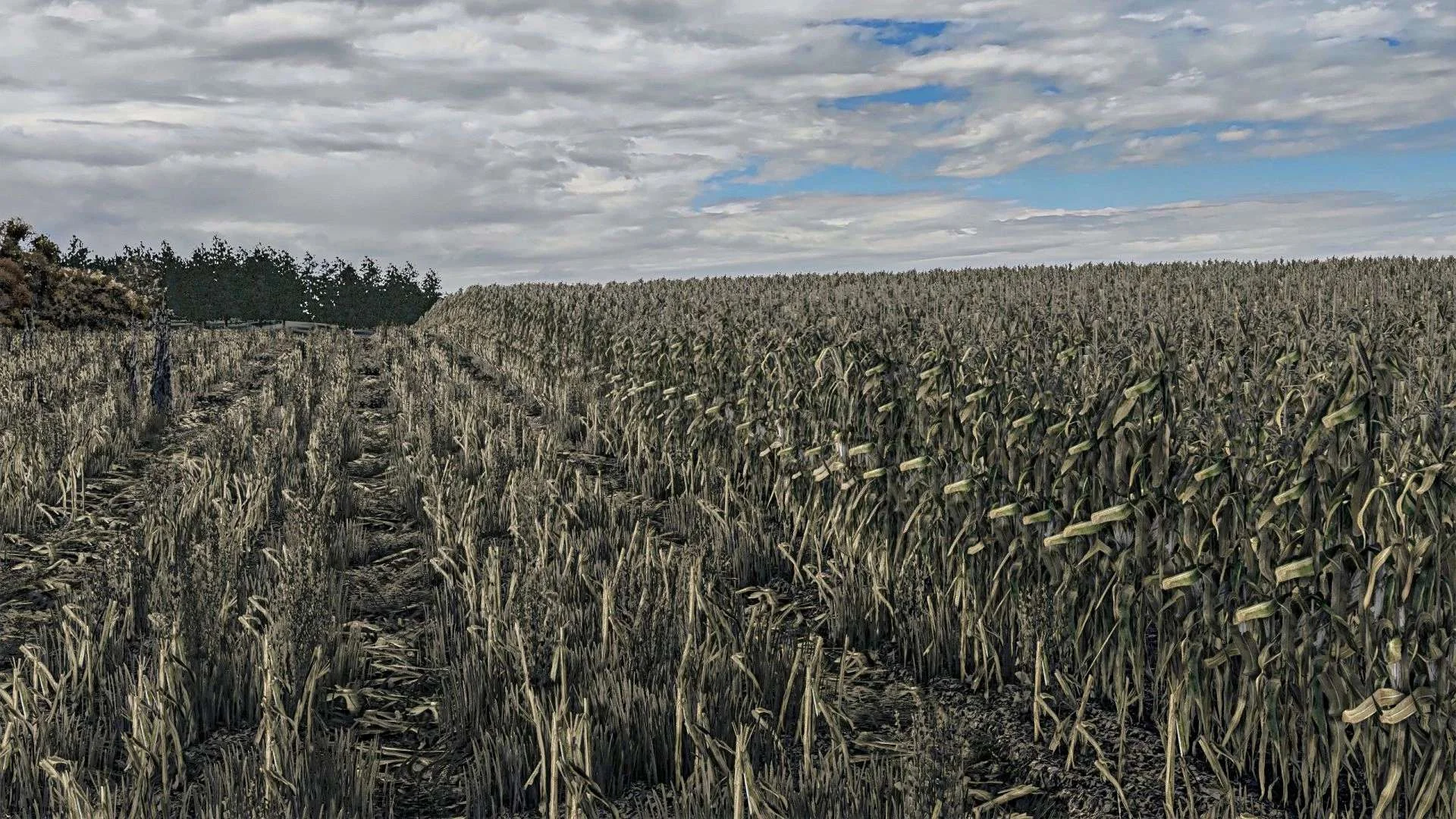FS25 Corn Texture New Gen v1.0 Textures Mod FS25 Mod Free Download