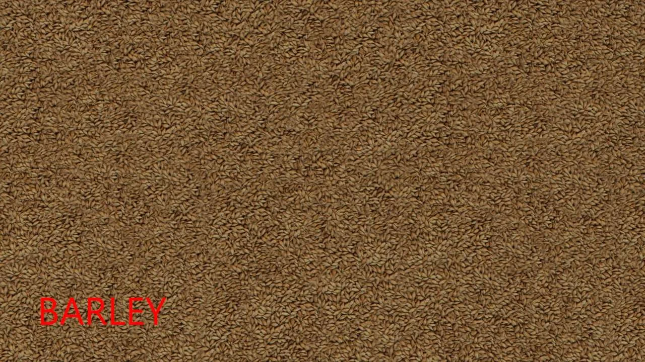 FS25 FillPlane textures pack v1.0 FS25 Mod Free Download