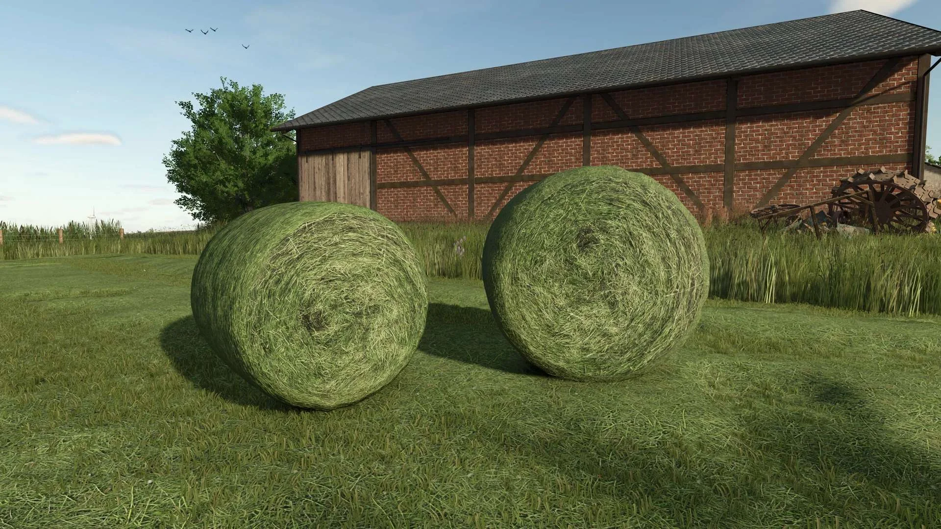 FS25 Gras/Heu Schwad Texture v1.0 Textures Mod FS25 Mod Free Download