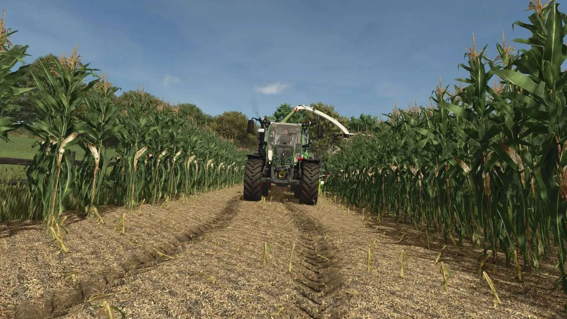 FS25 Improved Corn Texture v1.0 Textures Mod FS25 Mod Free Download