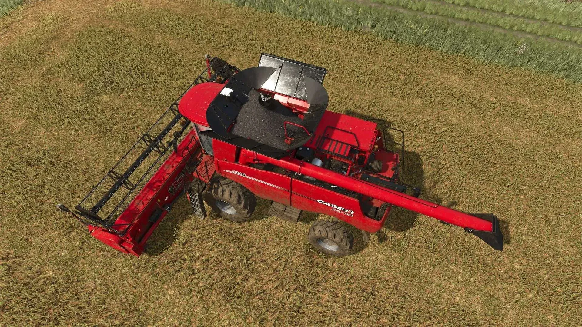 FS25 Improved Raps Texture v1.0 Textures Mod FS25 Mod Free Download