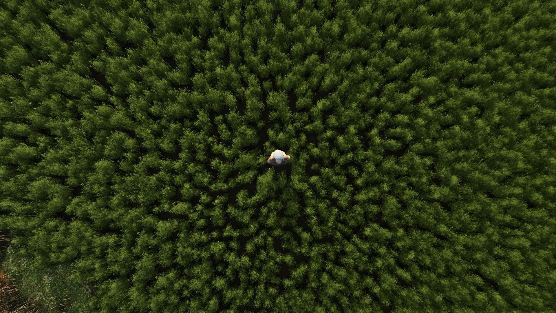 FS25 More beautiful grass V1.0 Textures Mod FS25 Mod Free Download