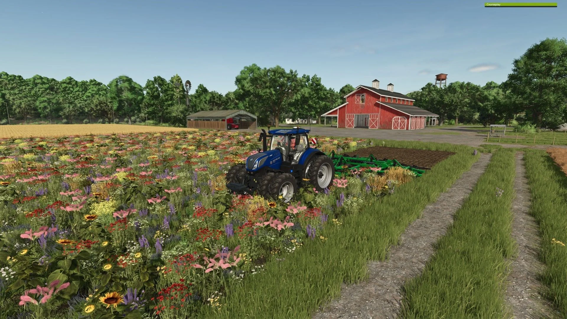 FS25 Oilseedradish Texture v1.0 Textures Mod FS25 Mod Free Download